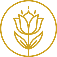 Yoga Anfängerkurs